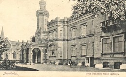 * T1/T2 1909 Zsombolya, Hatzfeld, Jimbolia; Gróf Csekonics Csitó Kastélya / Castle - Ohne Zuordnung