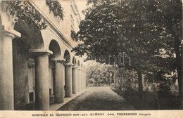 T2/T3 1919 Búrszentgyörgy, Bur-Sankt-Georg, Borsky Sväty Jur; Chateau / Kastély / Castle  (fa) - Non Classificati