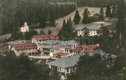 T2 1908 Feketehegy-fürdő, Cernohorské Kúpele (Merény, Nálepkovo); Nyaralók, Kápolna / Villas, Chapel - Zonder Classificatie