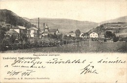 T2/T3 1905 Nagyszabos, Nagyszlabos, Slavosovce; Papírgyár / Paper Factory - Ohne Zuordnung