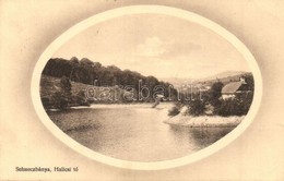 T2/T3 1917 Selmecbánya, Schemnitz, Banska Stiavnica; Halicsi Tó / Halic Lake (EK) - Non Classés