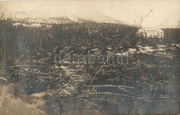 * T2 1915 Tátraszéplak, Weszterheim, Tatranska Polianka; Széldöntés, Mauer Irén Felvétele / Windbruch / Wind Storm Devas - Non Classificati