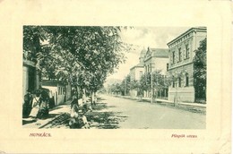 T2/T3 1910 Munkács, Mukacheve, Mukacevo; Püspök Utca Villanyoszlop. W.L. Bp. 6253. / Street (EK) - Zonder Classificatie