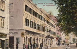 * T2/T3 1913 Fiume, Rijeka; R.U. Ginasio, Via Della Fiumara, Cartoleria, Ernesto Brenco's Drogheria, Fratelli Neumann /  - Non Classés