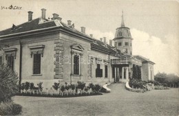 T2 1931 Óléc, Stari Lec; Dániel Pál Kastély / Castle / Schloss - Zonder Classificatie