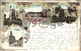 T2 1897 (Vorläufer!) Eferding, Starhembergstrasse, Hauptplatz, Schloss, Aussichtswarte A. D. Mayerhofer Berg / Street, S - Zonder Classificatie
