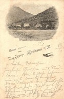 T2/T3 1897 (Vorläufer!) Neuhaus An Der Donau, Gruss Aus... / Swallow - Non Classés