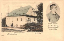 * T2/T3 1926 Lázne Jeseník, Gräfenberg; Vincenz Priessnitz Geburtshaus, Altvatergebirge / Vincenz Priessnitz's Birth Hou - Non Classés