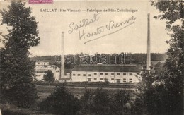 T2 Saillat (Haute-Vienne), Fabrique De Pate Cellulosique / Cellulose Paste Factory - Sin Clasificación