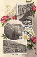 T2 1909 Leysin. Floral Litho Montage - Unclassified