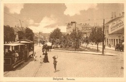 ** T1 Belgrade, Terasia, Bukovicka / Street View With Trams, Shops - Non Classés