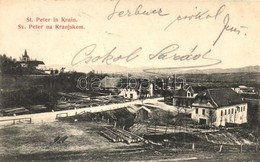 T1/T2 1906 Pivka, St. Petra Na Krasu, San Pietro Del Carso, St. Peter In Krain; Hotel St. Peter, Sawmill - Ohne Zuordnung