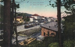 * T3 1918 Pivka, St. Petra Na Krasu, San Pietro Del Carso, St. Peter In Krain; Bahnhof / Postaja /  Railway Station With - Ohne Zuordnung