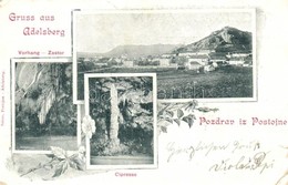 * T2/T3 1899 Postojna, Adelsberg; Vorhang, Zastor, Cipresse / Karst Cave Interior. Floral (EK) - Non Classificati