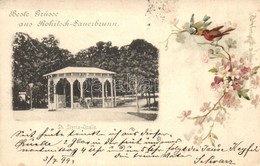 T2 1899 Rogaska Slatina, Rohitsch-Sauerbrunn; St. Styria Quelle / Spring. E. Rufitsch Floral, Litho - Unclassified