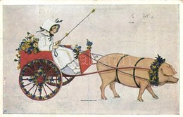 T2/T3 Girl With Pig-drawn Cart. Deutscher Schulverein Karte Nr. 1121. S: Mela Koehler (EK) - Ohne Zuordnung