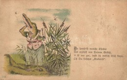 T2/T3 1891 (Vorläufer!!!) Oh Du Falsches Krokodil / Crying Crocodile. Litho - Ohne Zuordnung