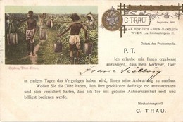 T2/T3 1902 C. Trau K.u.K. Hof Thee Und Rum Handlung, Wien I/18. Himmelpfortgasse 30. Ceylon Thee-Ernte / Viennese Tea An - Ohne Zuordnung