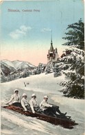 T2/T3 Sinaia, Castelul Peles / Winter Sport With Castle, Five-man Controllable Bobsleigh (EK) - Unclassified