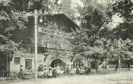 T2/T3 1910 Wien, Erste Internationale Jagdausstellung. Tiroler Alpendorf / The First International Hunting Exposition In - Unclassified