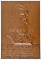 Seregély Dezső (1867-1948) 1928. 'VERESS SÁNDOR - A KOSSUTH-EMIGRÁCIÓ MIKES KELEMENJE EMLÉKEZETÉNEK SZÜLETÉSE SZÁZÉVES F - Zonder Classificatie