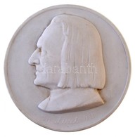 Edvi Illés György (1911-1991) DN 'Liszt 1811-1886' Hátoldalán Jelzett és Sorszámozott Herendi Porcelán Plakett (245g/133 - Ohne Zuordnung