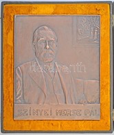 Dr. Hőgyes Ferenc (1860-1923) 1914. 'Szinyei Merse Pál' Kétoldalas Br Plakett, Eredeti Dísztokban (642g/167x198mm) T:1,1 - Unclassified