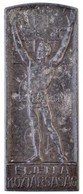 Szász Vilmos (1884-1923) 1918. 'Éljen A Köztársaság' Zn Emlékérem (10,60g/16x42mm) T:2 Fo.
/ Hungary 1918. 'Long Live Th - Non Classés