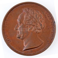 Német Államok / Szászország 1826. 'Johann Wolfgang Von Goethe' Cu Emlékérem. Szign.: Friedrich Anton König (37,48g/43mm) - Ohne Zuordnung