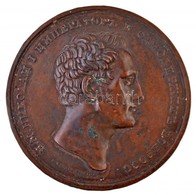 Orosz Birodalom ~1820-1830. 'I. Miklós Cár' Br Lemezplakett. Szign.: Theodor Petrovitch Tolstoi (11,55g/64mm) T:2-,3 Oxi - Non Classés