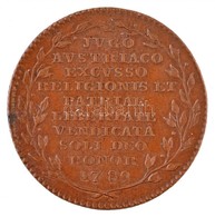 1790. 'Brabant Függetlenségének Elnyerésére Kiadott Emlékérem' Br Emlékérem (11,6g/32mm) T:2
1790. 'Commemorating The Br - Unclassified