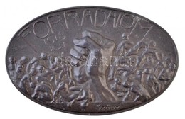 Sződy Szilárd (1878-1939) 1918. 'Forradalom 1918. X. 31.' Zn Emlékérem (24,57g/32x50mm) T:2
/ Hungary 1918. 'Revolution  - Ohne Zuordnung