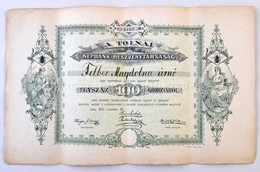 Tolna 1905. 'A Tolnai Népbank Részvénytársaság' Részvénye 100K-ról, Szárazpecséttel, Szelvényekkel T:III / 
Hungary / To - Zonder Classificatie