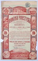 Románia 1921. 'Romania Forestiera Societa Anonima (Román Erdészeti Részvénytársaság)' Részvénye 500 L értékben, Bélyegzé - Ohne Zuordnung