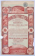 Románia 1921. 'Romania Forestiera Societa Anonima (Román Erdészeti Részvénytársaság)' Részvénye 500 L értékben, Bélyegzé - Non Classés