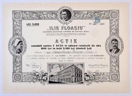 Románia / Nagyszeben 1937. 'Ilie Floasiu Kereskedelmi Részvénytársaság' Névre Szóló, öt Részvénye Egyben, összesen 5000L - Ohne Zuordnung
