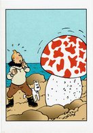 CP - Thèmes - Bandes Dessinées - Tintin - Extrait De L'Étoile Mystérieuse - Fumetti