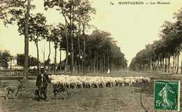 91.....Essonne....Montgeron......les Moutons - Montgeron