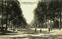 91.....Essonne....Montgeron......l'avenue Du Chateau - Montgeron