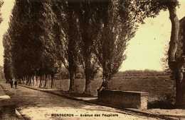 91.....Essonne....Montgeron...av Des Peupliers - Montgeron