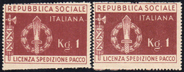 1944 - Marca Per La Spedizione Di Pacchi (1), Due Esemplari, Uno Con Perforazione Orizzontale Obliqu... - Andere & Zonder Classificatie
