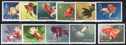 1960 - Fishes, Complete Set (M.534/545), O.g., MNH. ... - Other & Unclassified