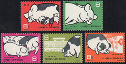 1960 - Pigs Breeding, Complete Set (M546/550), O.g., MNH. ... - Other & Unclassified
