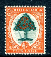 South Africa 1933-48 SUID-AFRIKA Hyphenated - 6d Orange Tree - Type I - Falling Ladder Flaw Single HM (SG 61a) - Used Stamps