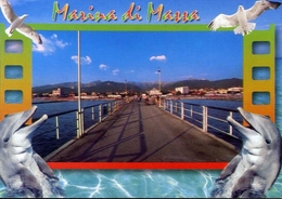 Delcampe - Marina Di Massa - Il Pontile - Formato Grande Viaggiata – E 8 - Massa