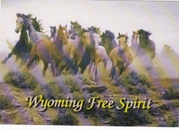 Wyoming McCullough Peak Wild Horse Round Up - Autres & Non Classés