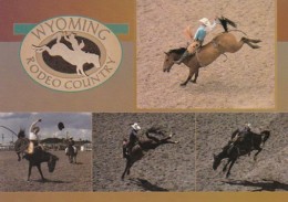 Wyoming Rodeo Country Bareback Bronco Riding - Autres & Non Classés