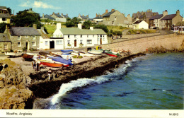 ANGLESEY - MOELFRE Ang134 - Anglesey