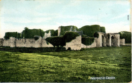 ANGLESEY - BEAUMARIS CASTLE Ang49 - Anglesey