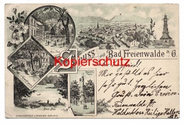 Bad Freienwalde An Der Oder 1897 - Nach Wannsee - Bad Freienwalde